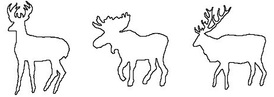 Moose, deer & elk Scroll Saw Wood Pattern