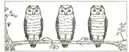 Wise owl pattern