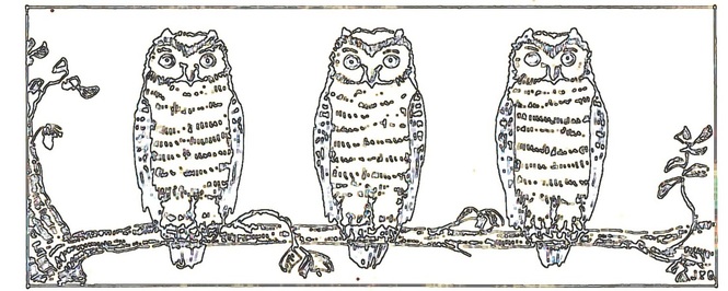 wise owl pattern